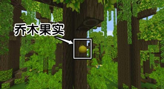 迷你小雨林爆料了吗视频 第3张 迷你小雨林爆料了吗视频 第3张