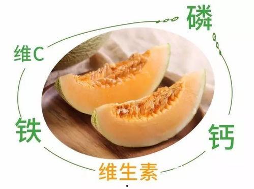 免费吃哈密瓜,夏日甜蜜福利来袭！  第1张