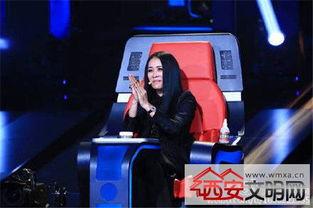 最新爆料那英过往视频,揭秘歌手背后的故事与争议  第2张